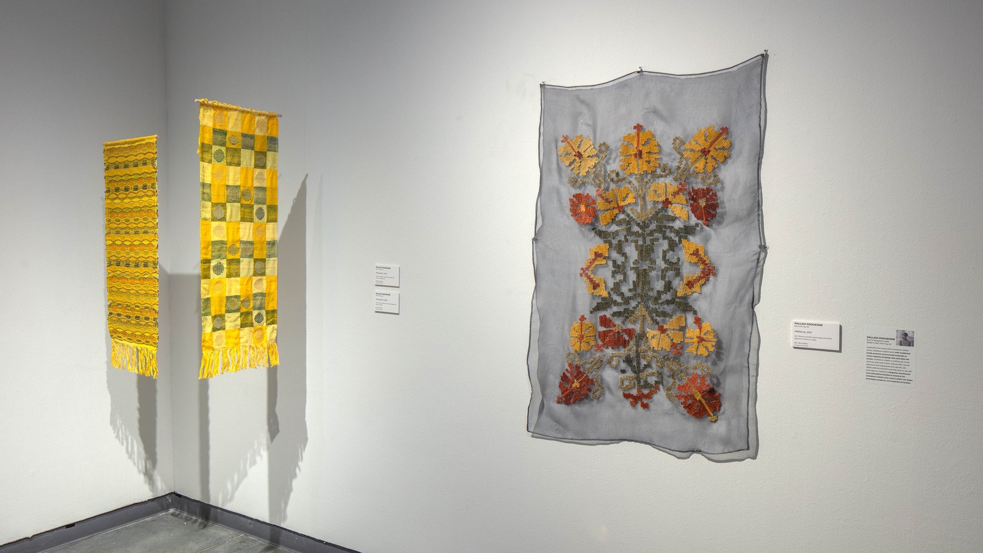 Pallavi Padukone, Reminiscent, displayed at The Delaware Contemporary (Wilmington, Delaware, USA), 2022. Photo credit: Dan Jackson.