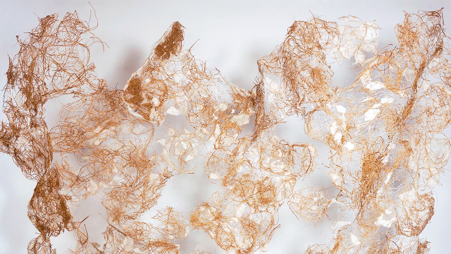 Pallavi Padukone, Vetiver V, 2019. 91cm x 127cm (36" x 50"). Embroidery. Vetiver root, nylon thread. Photo credit: Olivia Koval.