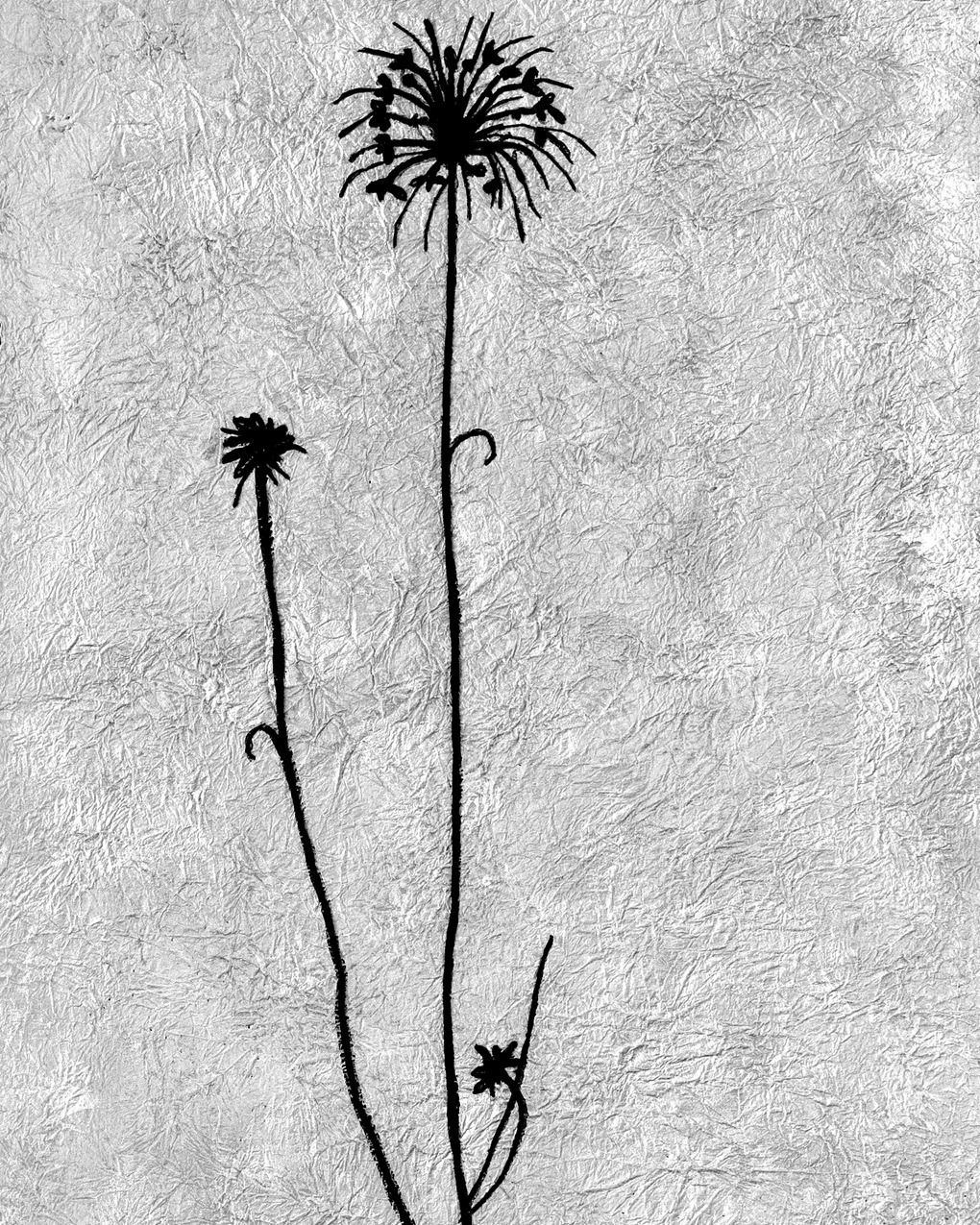 Mary Beth Schwartzenberger, Wish Flower, 2019. 45cm x 76cm (18" x 30"). Painting and embroidery. Kyoseishi paper, acrylic paint, DMC stranded embroidery cotton. Photo: Zarek Dietz.