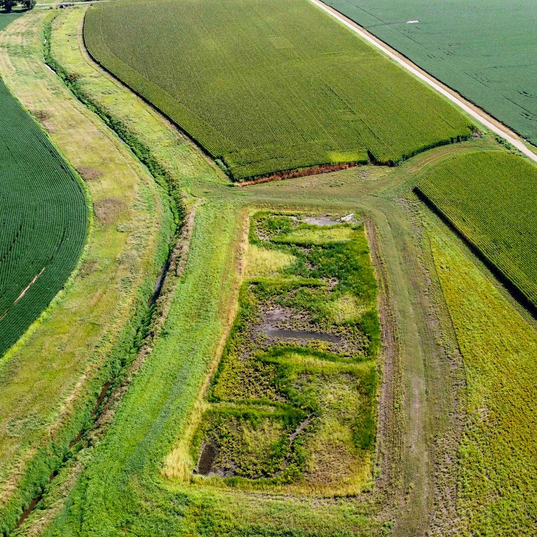 Working Farm-Working Wetland. Photo: Mike Richolson.