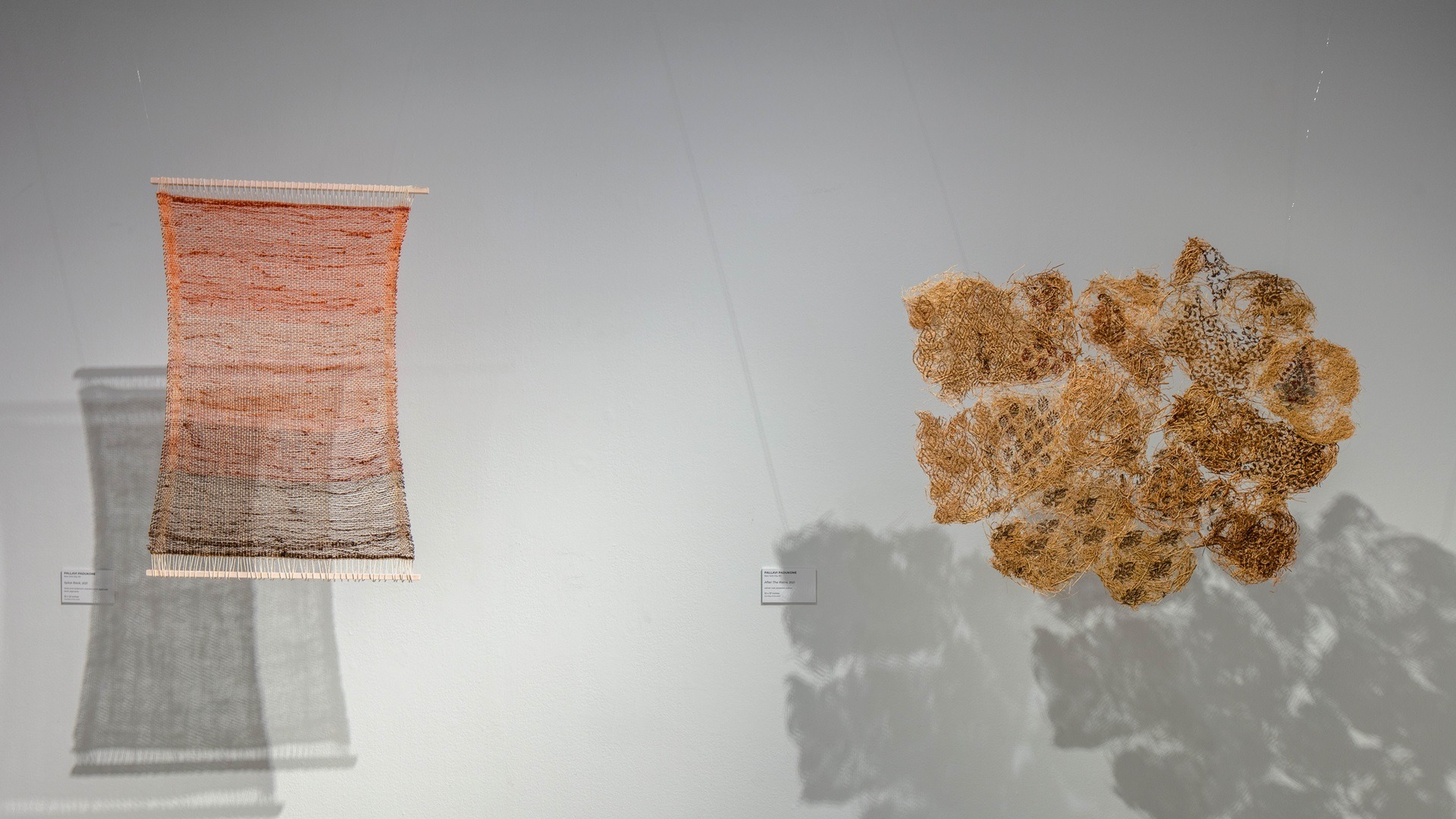 Pallavi Padukone, Reminiscent, displayed at The Delaware Contemporary (Wilmington, Delaware, USA), 2022. Photo credit: Dan Jackson.