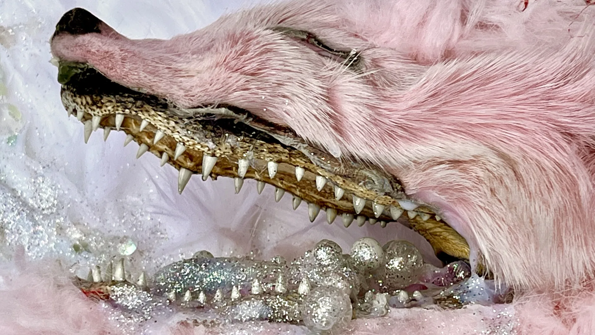 Kelly Boehmer, Drool (detail), 2022. 46cm x 61cm (18" x 24"). Hand stitch. Taxidermy, acrylic, faux fur, real fur, beads, glitter, organza, yarn, canvas.