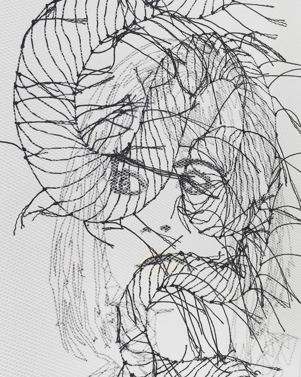 Pamela Campagna, DOUBLE EXPOSURE_07 (detail), 2018. 41cm x 51cm x 14cm (16" x 20" x 6"). Embroidery. Tulle, polyester thread, wood.