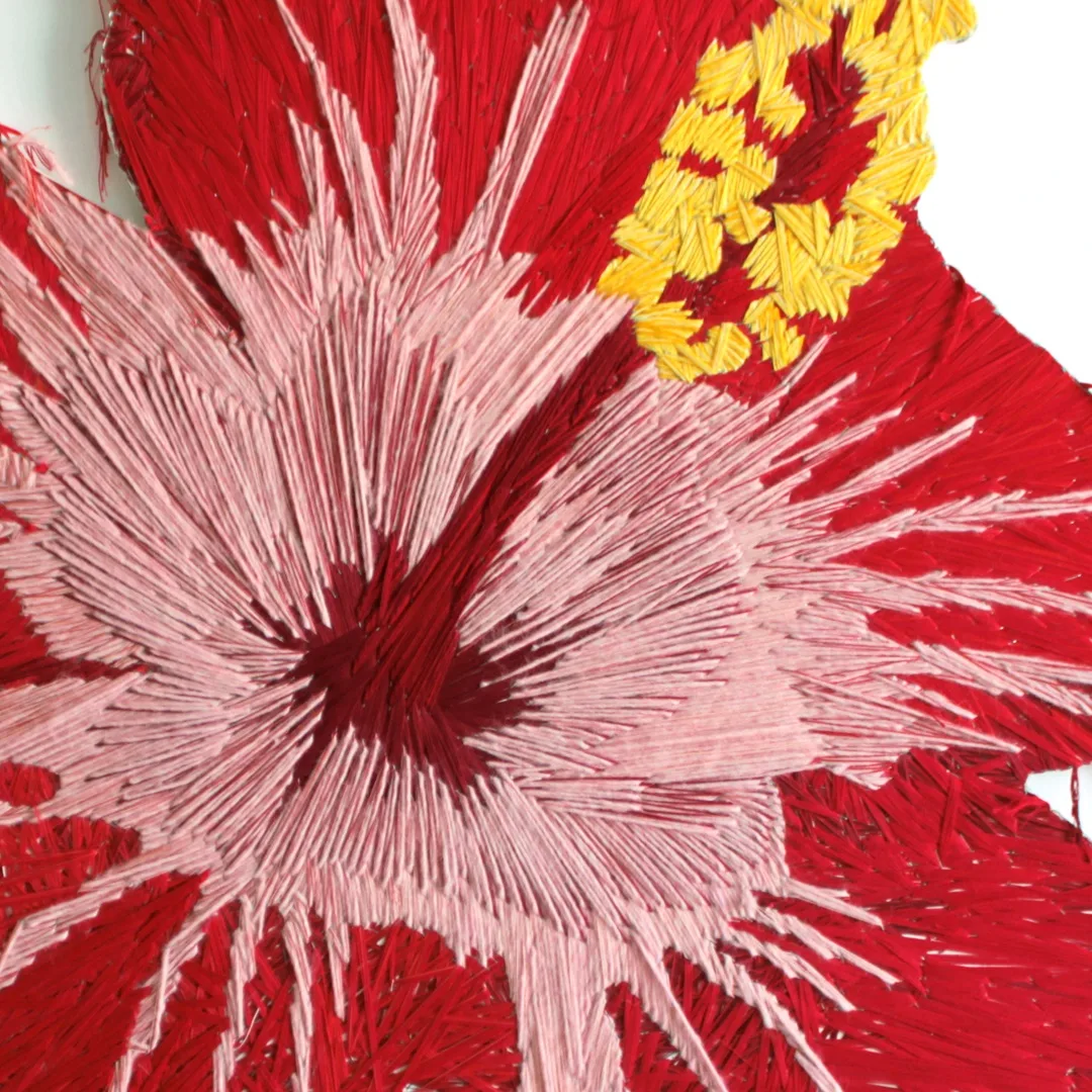 Pamela Campagna, MACROembroidery_01 (detail), 2018. 110cm x 125cm (43" x 49"). Brutal embroidery on wood. Various threads.