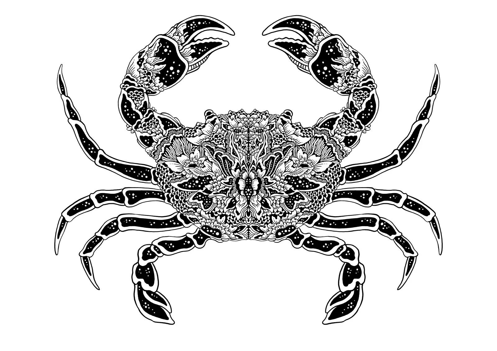 Mulyana: Kepiting, 2018, 21 x 15cm, Vignette, ink on paper