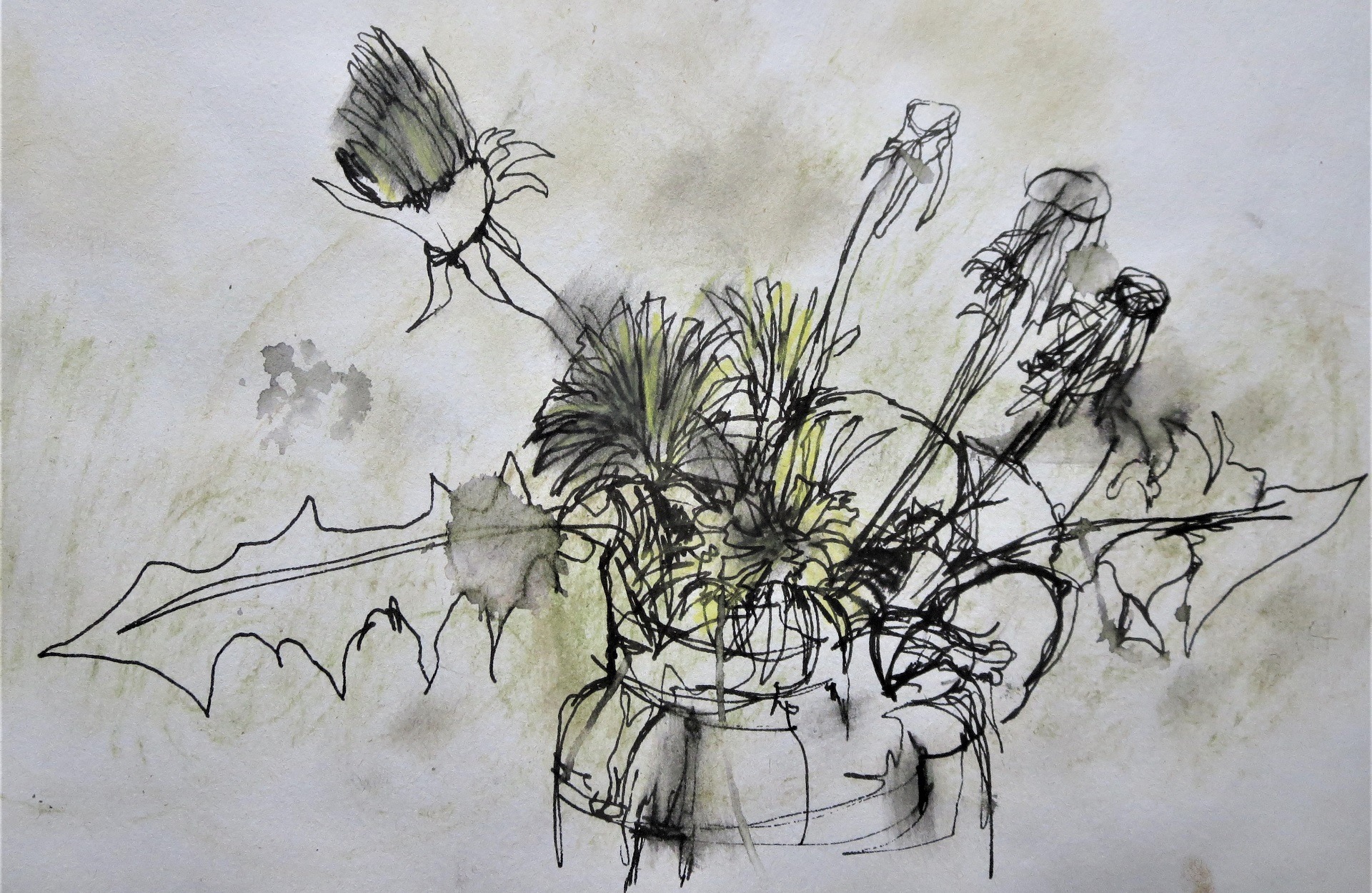 Sketch of a bunch of wild flowers