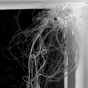 Disturbances Series (2010)