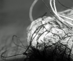 Disturbances Series (2011)
