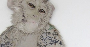 Textile designer and stitch artist Karen Nicol