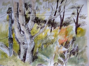 A sketch by textile artist Cas Holmes - Canberra Autumn foliage and Ghost gum trees