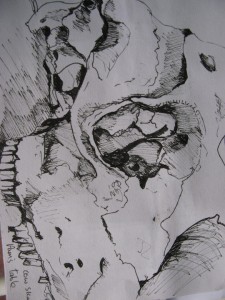 A sketch of a skull by textile artist Cas Holmes