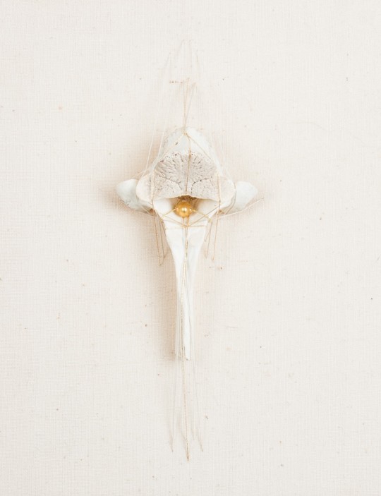 Rozanne Hawksley uses embroidery to create art of great depth and interest