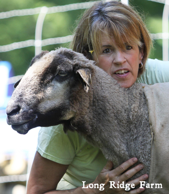Long Ridge Farm - member of the Textile and Fiber Art List