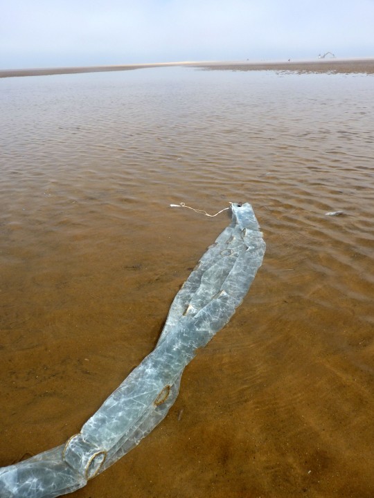 Second time in the sea – low tide, calm sea