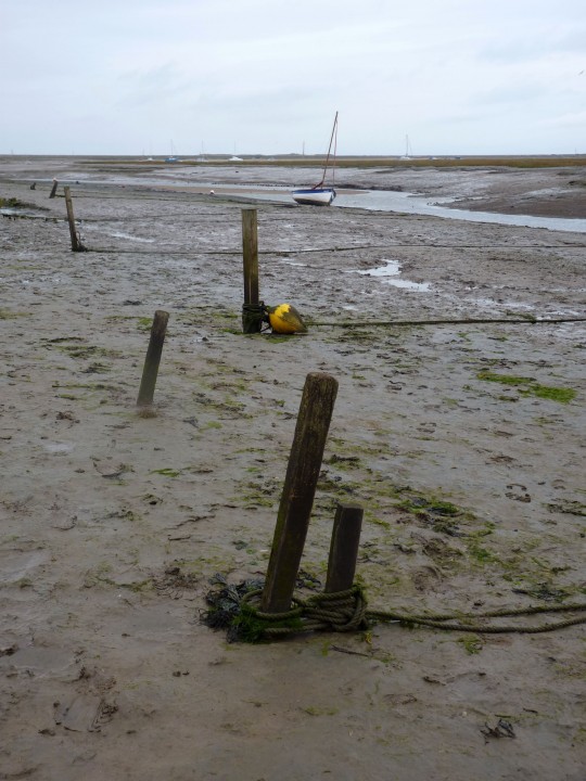 The Creek in Morston is a source of inspiration for Debbie Lyddon, popular textile artist.