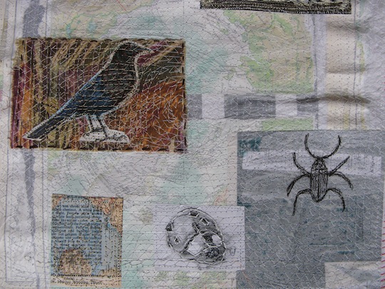 Anne Kelly Domestic Mapping Detail