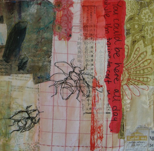 Cas Holmes Domestic Mapping Detail