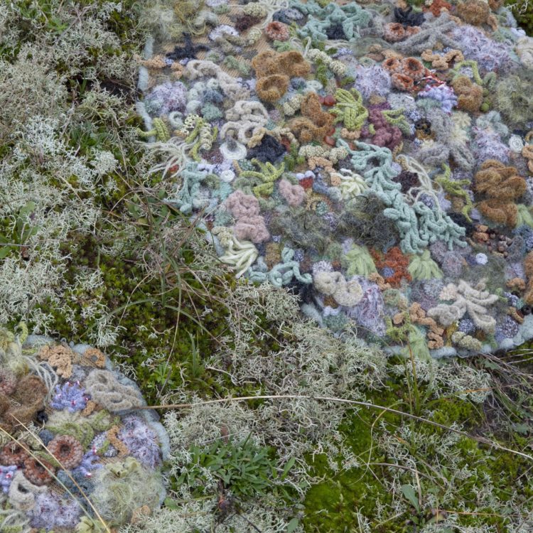 Hannah Streefkerk, Spotted (detail), 2021. Installation 5m x 3m (16' x 10'). Mixed yarns. Embroidery and crochet.