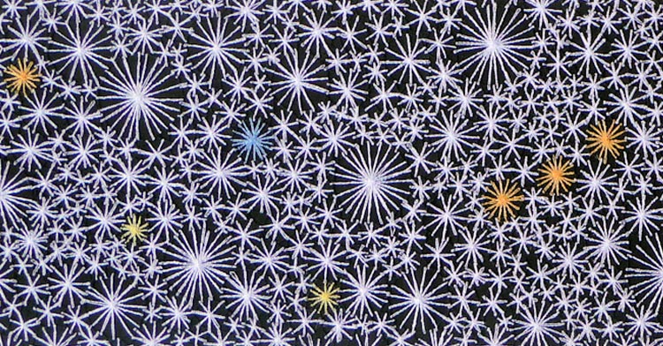 Anne Honeyman Interview: Fragility, fluidity & structure