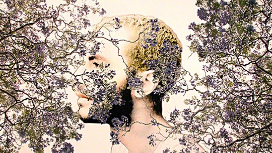 Textile art by Patricia Casey