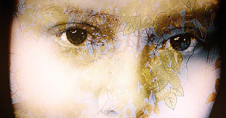 Patricia Casey Interview: Memory, imagination and dreams