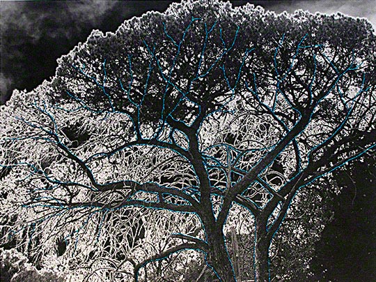 Textile art by Patricia Casey