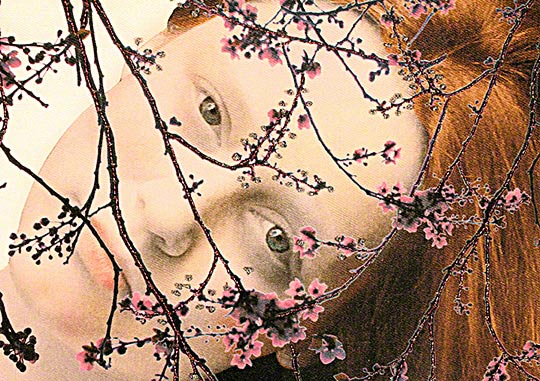 Textile art by Patricia Casey