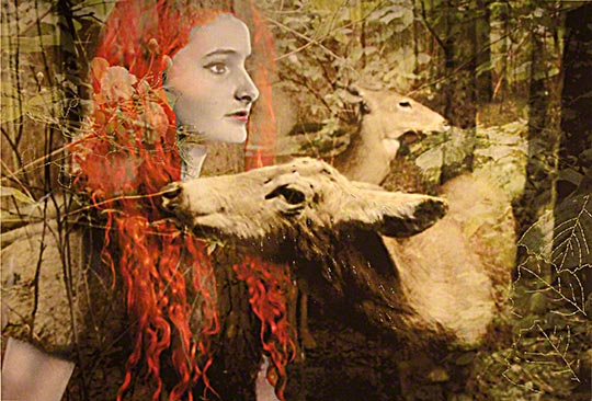 Textile art by Patricia Casey