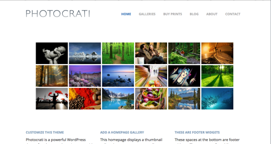 Photocrati website template alternative homepage to showcase more artwork