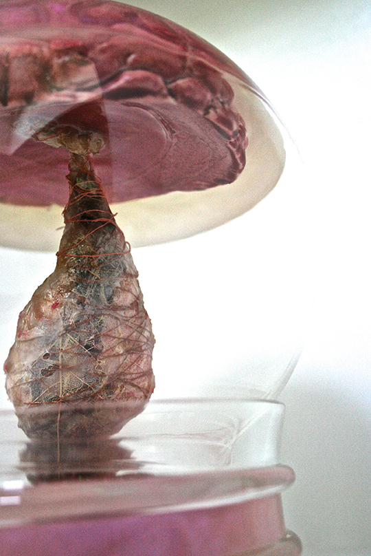 Leisa Rich - Embalming Musings For Posterity, 2013, Machine Embroidery, Cast Resin, Mixed Media