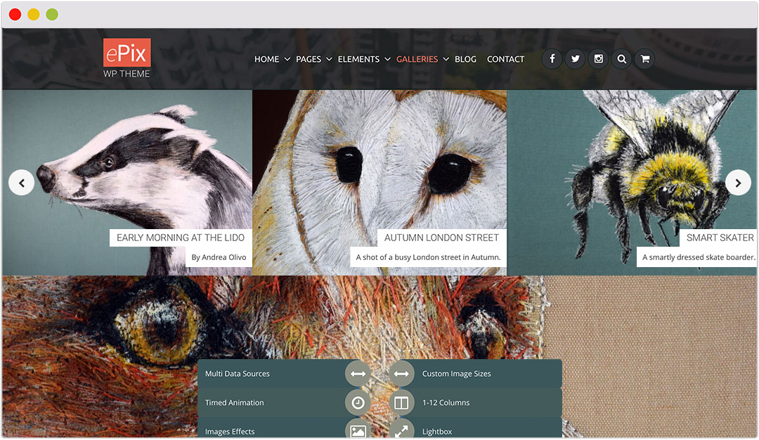 ePix theme for an artist website using WordPress