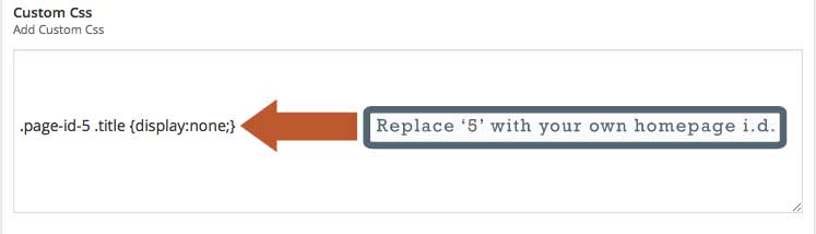 Custom CSS for your art home page