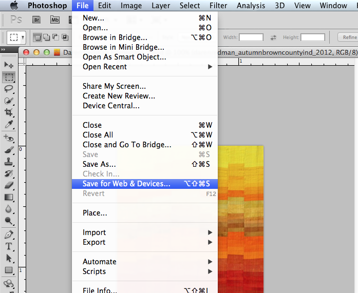 Now save the image for the web in Photoshop