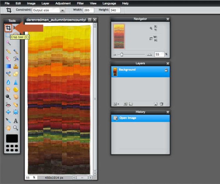 Select the crop tool in Pixlr