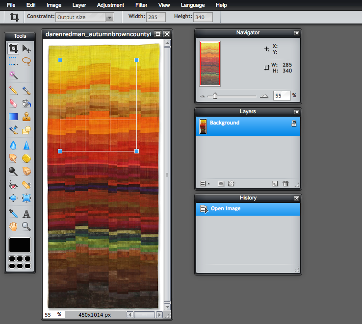 Drag the crop box to the part of the image you wish to show in detail