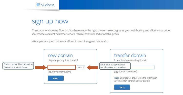 Register a new domain at Bluehost