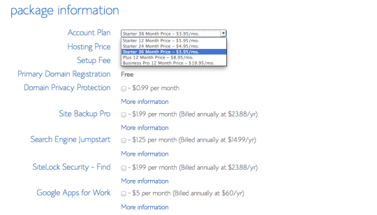 Choose which payment plan you'd like from Bluehost
