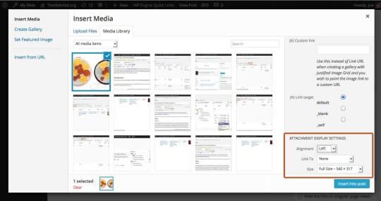 Attachment-display-options