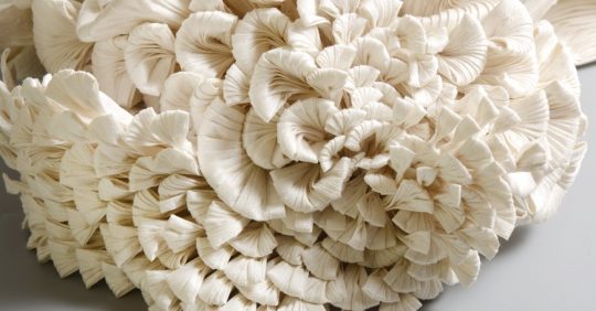 Kinga Foldi, Mushroom (detail), 2020. 35cm x 36cm x 18cm (13” x 14” x 7”). Silk dupioni. Pintuck and individual techniques. Photo: Alida Kovács