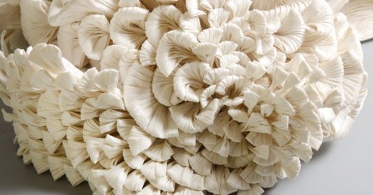 Kinga Foldi, Mushroom (detail), 2020. 35cm x 36cm x 18cm (13” x 14” x 7”). Silk dupioni. Pintuck and individual techniques. Photo: Alida Kovács