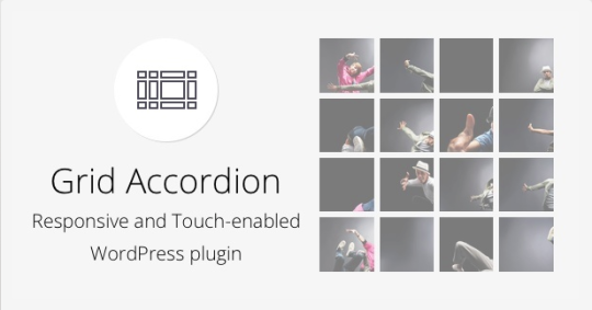 Grid Accordian WordPress Gallery plugin