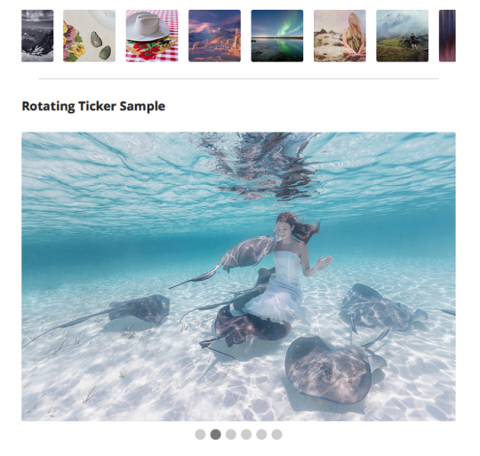 Ditty Flickr ticker wp gallery plugin