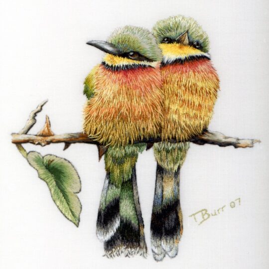 Trish Burr, Little Bee Eaters, 2008. 10.5cm x 11cm (4" x 4.5"). Needle painting embroidery. Stranded cotton on linen.