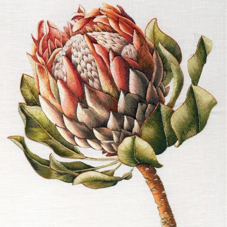 Trish Burr, Protea, 2010. 15cm x 18cm (6" x 7"). Needle painting embroidery. Stranded cotton on linen.