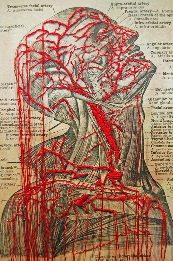 Lynn Skordal - Stitched medical diagram - TextileArtist.org