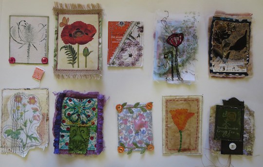 Tea Flora Tales - contributions from students in San Diego