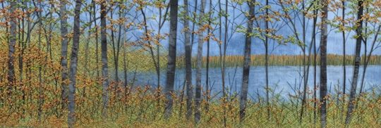 Martha Fieber, Colwell Lake, 2022. 20cm x 61cm (8” x 24”). Straight stitching and French knots. Hand-dyed cotton thread and silk trees.