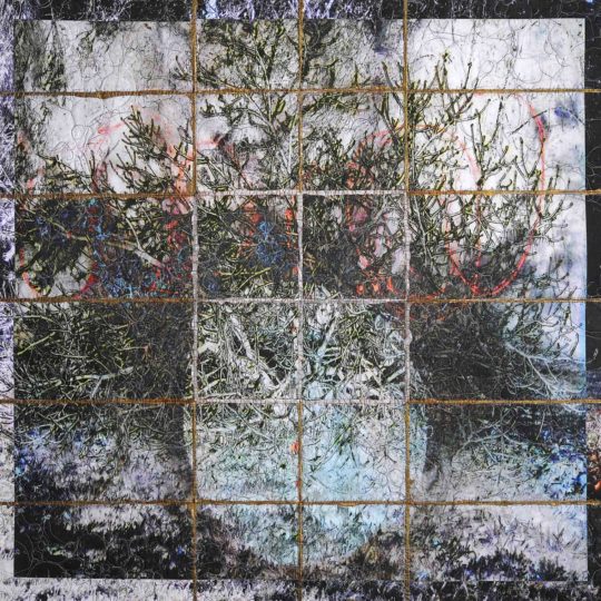 Wen Redmond, Enchantment of the Forest, 2019. 1m x 1m (40” x 40”). Digital canvas.