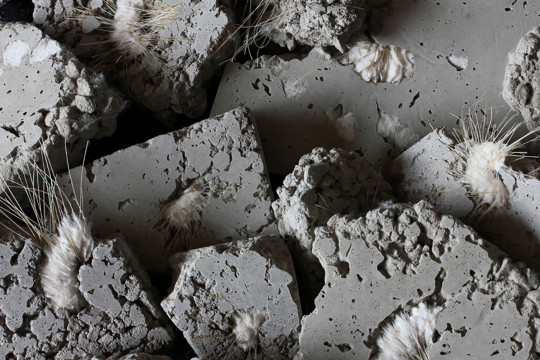Ann Goddard – ‘Consequences’ (detail), Felted cotton fibres, concrete; variable installation comprising 300 units