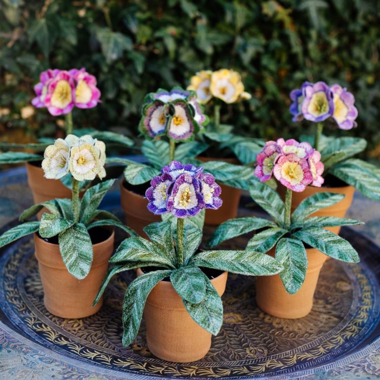 Corinne Young, Auricula Pot Plants, 2021. 20cm to 25cm (8” to 10”) tall. Machine stitch. Madeira threads, net, textile medium, florist’s wire/tape and flax fibres.